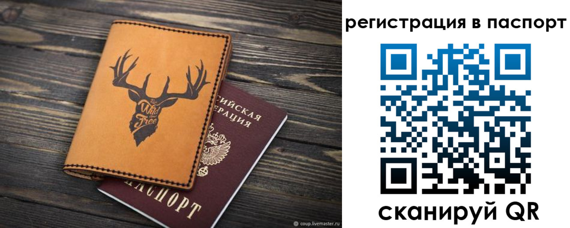 прописка паспорт в Ершове